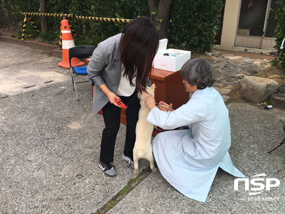 NSP통신-경주시 관계자가 광견병 무료예방 접종을 실시하고 있다. (경주시)