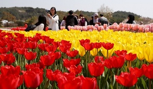 [NSP PHOTO]태안군, 5월 꽃과 수산물 축제 잇따라