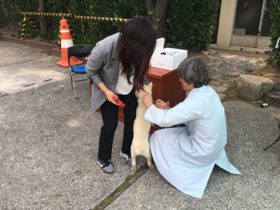 [NSP PHOTO]경주시, 광견병 무료 예방접종 실시