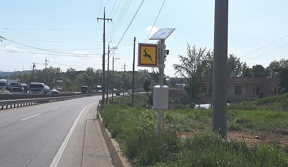 NSP통신-▲당진시가 로드킬 방지 시스템을 시범 운영한다. (당진시)