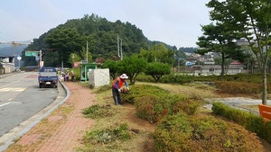 [NSP PHOTO]진안군, 가로수길 신규조성 완료…2억7100만원 투입