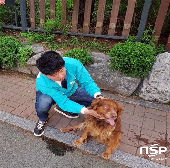 NSP통신-박재형 대구 달서구의원 예비후보가 지난 8일 뒷다리를 끌며 도로 한복판에 쓰러진 유기견을 구조하는 모습 (박재형 후보 제공)