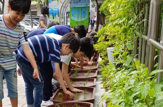 NSP통신-▲부여군이 오는 30일까지 학교 친환경농업실천 모내기 체험행사를 진행한다. (부여군)