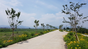 [NSP PHOTO]경산시, 금호강 강바람길 조성 박차