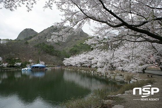 NSP통신-탑영제 전경