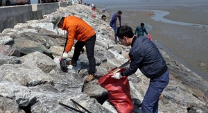 [NSP PHOTO]서천군, 범군민 해양쓰레기 수거에 나섰다
