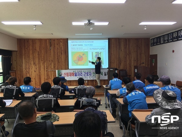 NSP통신-4일 영덕국유림관리소는 한국산업안전보건공단 안영준 부장을 초빙해 산림재해일자리 근로자 40여명을 대상으로 안전교육을 실시하고 있다. (영덕국유림관리소)