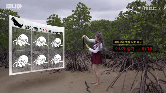 NSP통신-두니아에서 루다의 양말을 보관함으로 나타낸 화면은 야생의 땅: 듀랑고 동물 보관함을 떠올리게 한다. (두니아 화면)