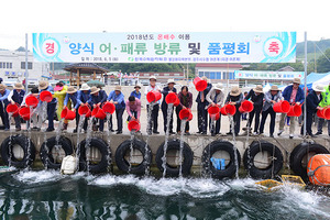 [NSP PHOTO]월성원자력, 원전 온배수로 키운 강도다리·전복 인근 해안 방류