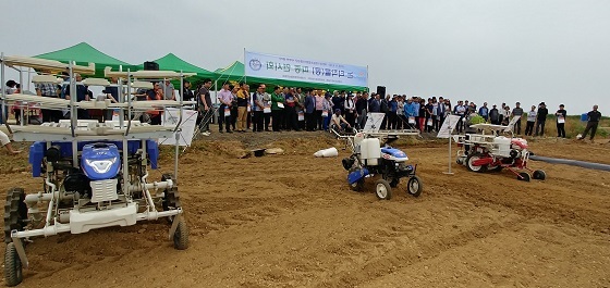 NSP통신-▲충남도 농업기술원이 논 이용 타작물 재배 현장 연시회를 개최했다. (충남도)