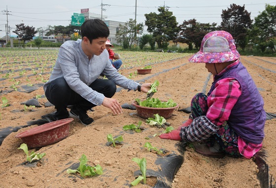 NSP통신-▲당진시농업기술센터가 농업인상담소 근무인력을 확대 배치했다. (당진시)