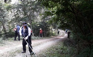 [NSP PHOTO]홍성군 산불전문예방진화대, 산림보호사업 진행