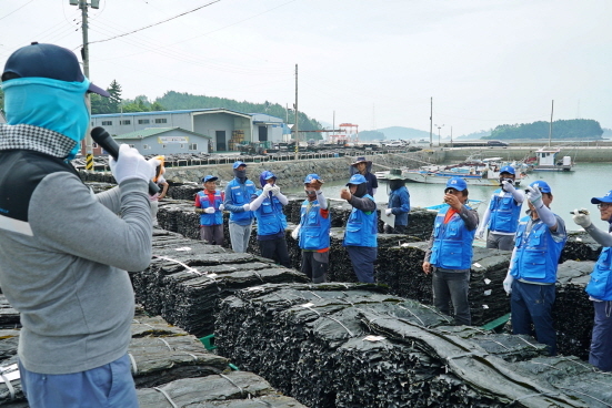NSP통신-완도 금일도 다시마 경매현장 (농심 제공)