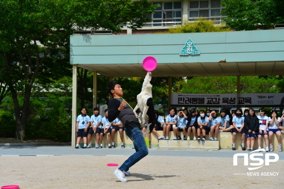 NSP통신- (오천중학교)