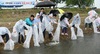 [NSP PHOTO]예산군, 토종붕어 74만여마리 방류