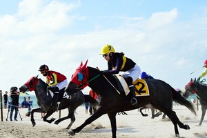 [NSP PHOTO]렛츠런파크 제주, 곽지 해수욕장 경주마 해변경주 개최