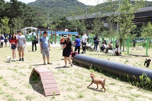 [NSP PHOTO]최대호 안양시장, 권역별 반려동물 놀이공간 조성할 것