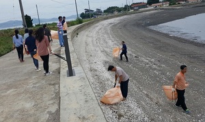 [NSP PHOTO]홍성군·유류피해연합회, 죽도 연안정화활동 진행