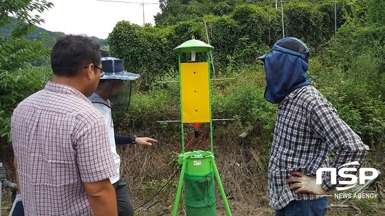 [NSP PHOTO]진안군, 갈색날개매미충 친환경방제 기술 보급