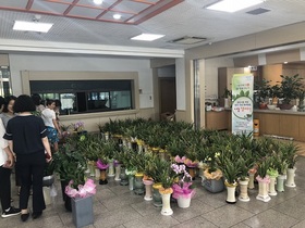 [NSP PHOTO]경산시청 여정회, 승진 ‧ 전보 축화화분 나눔 캠페인