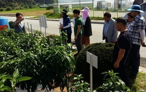 [NSP PHOTO]청양군, 영농현장 문제해결 중심 직무연찬 실시