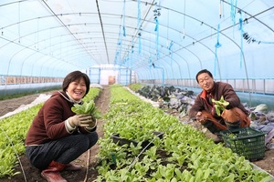 [NSP PHOTO]완주군, 월급받는 농업인 늘린다…블루베리·한육우 추가