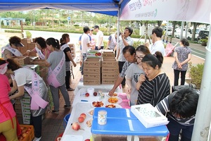 [NSP PHOTO]경산지역 대표 농산물 복숭아, 테마로한 제5회 경산 도도(都桃)데이 행사