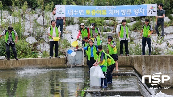 [NSP PHOTO]장수군, 요천에 쏘가리 1만1000마리 방류