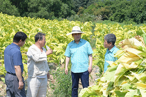 [NSP PHOTO]이희진 영덕군수, 영농현장 챙기며 폭염 본격 대응