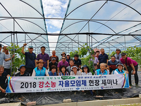 [NSP PHOTO]경북도농기원 강소농 기술지원단, 영천 별빛촌포도연구회 현장 세미나 지원