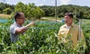 [NSP PHOTO]김기준 청양부군수, 10개읍면 순회…폭염대처계획점검