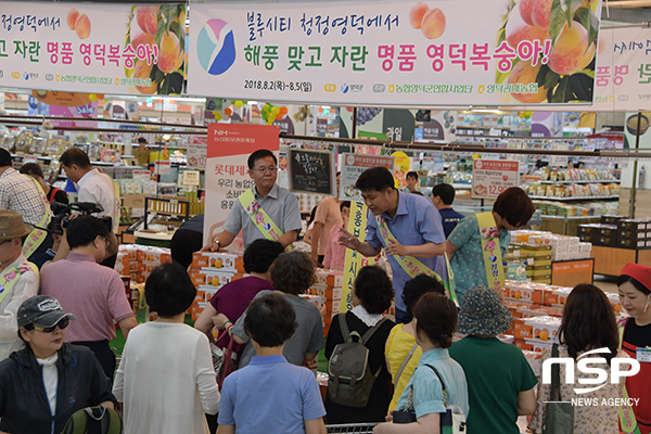 NSP통신-성남 농산물종합유통센터 특설매장에서 이희진 군수가 열성적인 영덕복숭아 홍보판촉행사를 가졌다. (영덕군)