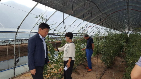NSP통신-지난 8일 충북 진천군 초평면에서 이종수 농림수산업자신용보증기금 상무가 폭염피해 현장을 방문해 농업인을 위로하며 애로사항을 청취하고 있다.