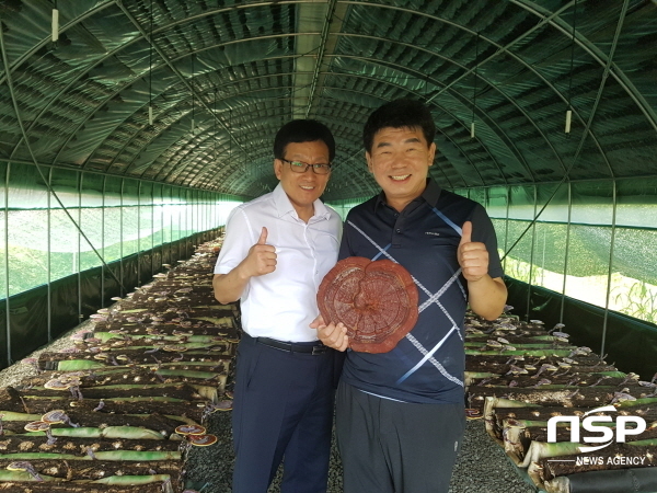 NSP통신-지난 20일 경북지식재산센터 전성구 센터장(사진 왼쪽)은 엄지영지버섯을 방문해 오순기 대표(사진 오른쪽)와 기념사진을 찍었다. (경북지식재산센터)