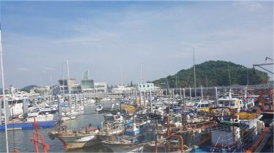 NSP통신-제19호 태풍 솔릭이 한반도에 상륙할 것으로 예상되는 가운데 어선들이 전곡항마리나에 피항해 있다. (화성도시공사)