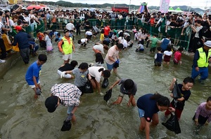 [NSP PHOTO]홍성군, 오는 31일부터 남당항 대하축제 개최