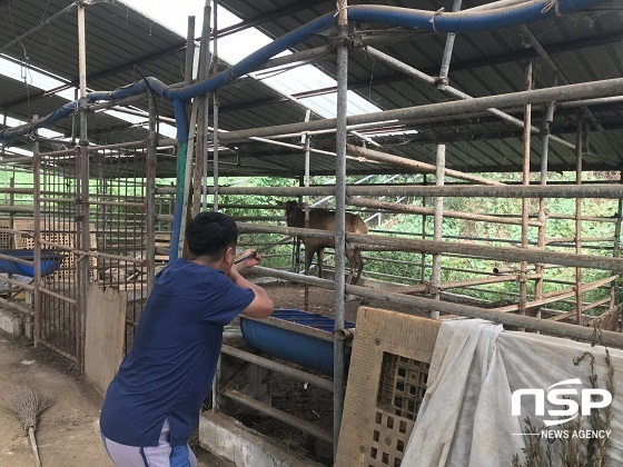 [NSP PHOTO]익산시, 사슴 구제역 백신 일제접종 실시