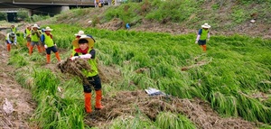 [NSP PHOTO]농협 광주본부, 긴급재해 복구지원 구슬땀