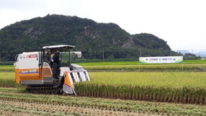 [NSP PHOTO]포항시, 3일 2018년 첫 벼베기 실시