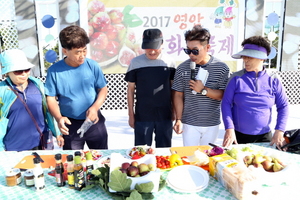 [NSP PHOTO]신비의 과일 오는 14일 영암 무화과 축제 개최