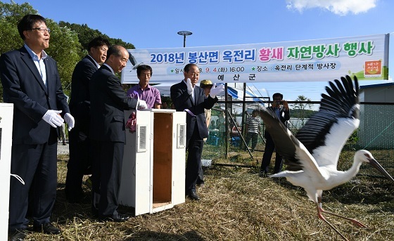 NSP통신-▲예산군이 지난 4일 올해 두 번째로 황새 자연방사 행사를 가졌다. (예산군)