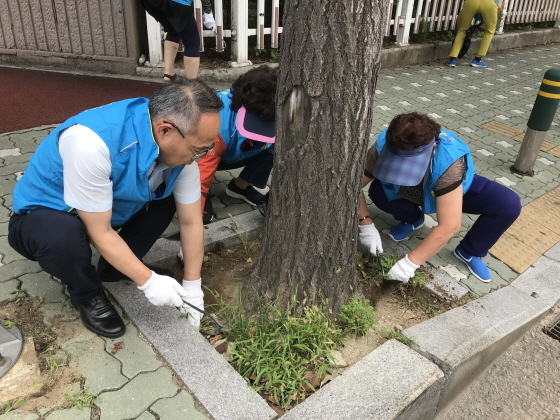 NSP통신-6일 군포시 금정동 직능단체 회원 및 공무원들이 깨끗한 금정마을 가꾸기 활동을 하고 있다. (군포시)