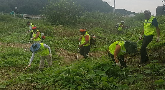 NSP통신-▲천안시가 야생식물관리협회와 함께 생태계 교란 야생식물 제거사업을 펼치고 있다. (천안시)