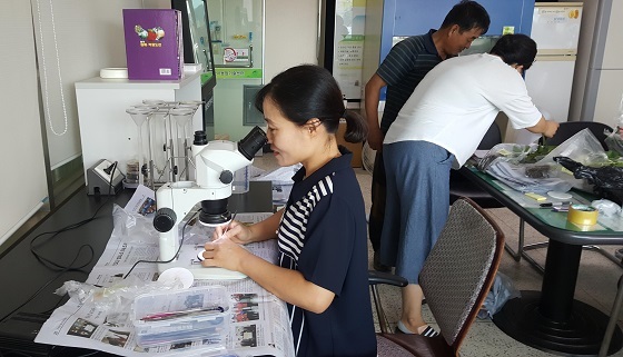 NSP통신-▲논산시가 딸기품질 향상을 위한 정식적기 및 재배기술 향상을 위해 무료컨설팅을 실시한다. (논산시)