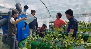 [NSP PHOTO]예산군, 시설딸기 하우스 환경제어시스템 현장지도