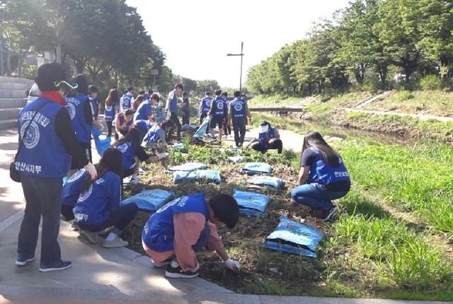 NSP통신-바다살리기국민운동본부 안산시지부 회원들이 안산 화정천 산책로에 가을 꽃길을 조성하고 있다. (안산시)