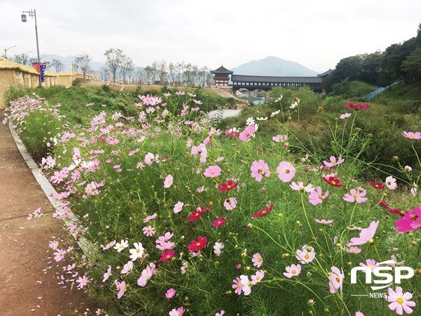 NSP통신-경주시 월성동 꽃길 모습. (경주시)