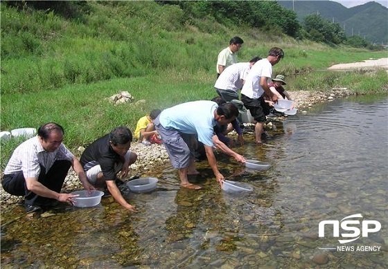 [NSP PHOTO]진안군, 내수면어업 경쟁력 강화 구슬땀
