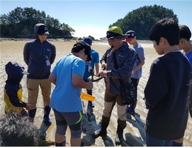 [NSP PHOTO]군산대 새만금창의융합센터, 갯벌해양생태체험 실시