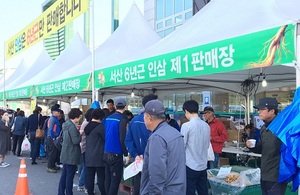 [NSP PHOTO]서산시, 서산6년근인삼 직거래 장터 개최